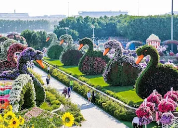 Al Saqar Al Thahabi Tourism