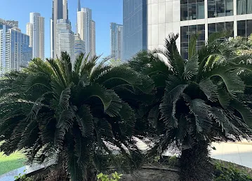 Al Shafar Tower Business Bay