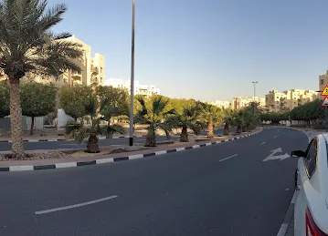 Al Thamam 49