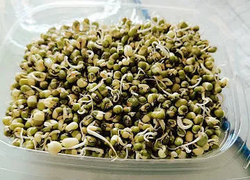 AL TUFFAH VEGITABLES AND FRUITS TRADING LLC