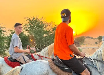Al Walid stables - اسطبل الوليد