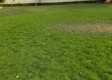 Al Warqa 2 Park