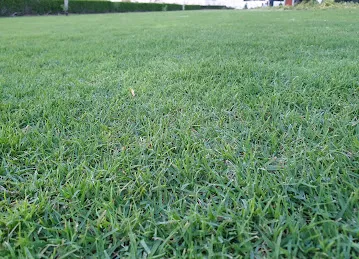Al Warqa 2 Park