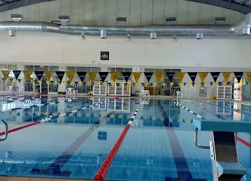 Al Wasl Sports Club