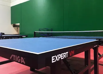 Al Wasl Table Tennis Academy - Dubai