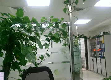 Al Wazir Real Estate