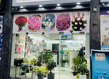 Al Zahra Fresh Flowers