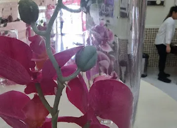 Alafrah chocolate & flowers algharbia