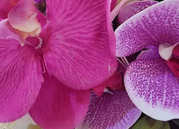 Alafrah chocolate & flowers algharbia