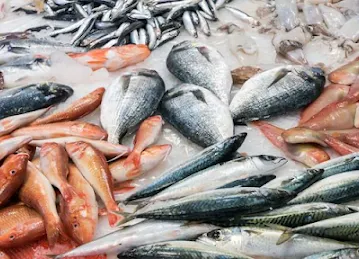 Alandalus Fish Trading