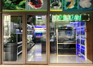 Alaska nancy Pets Trading