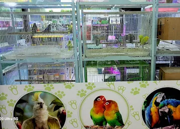 Alaska nancy Pets Trading
