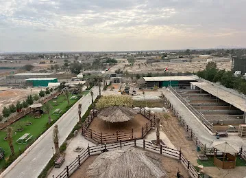 Alauddin farm