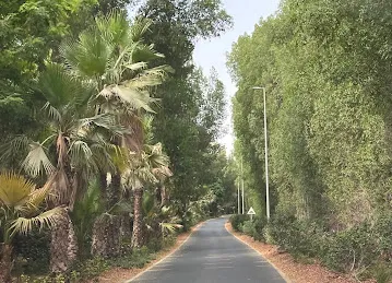 AlBarari Cycling Track