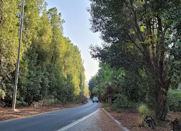 AlBarari Cycling Track