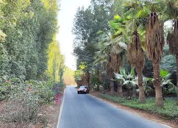 AlBarari Cycling Track