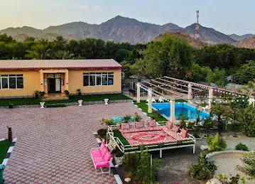 AlDhabi farm ، مزرعة الظبي