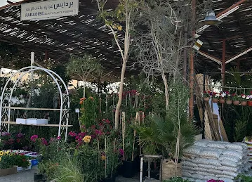 Alfa agriculture