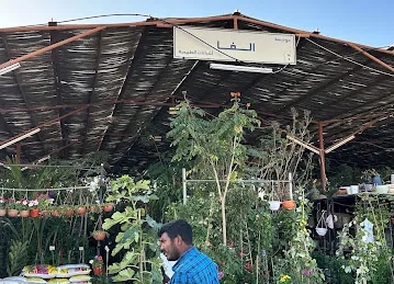Alfa agriculture