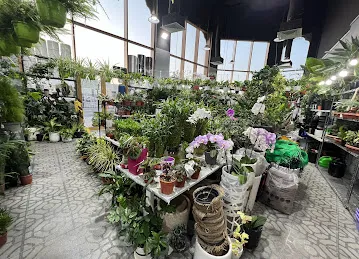Ali Mohd Saeed flowers