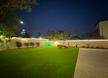Ali Mustafa - Home