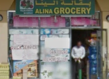 ALINA GROCERY