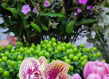 Alma Flowers