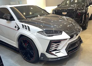 ALPHA MOTORS L.L.C