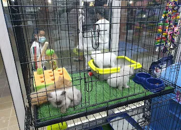 Alpha pets