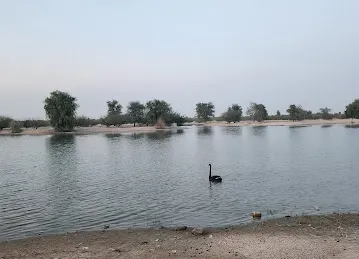 Alqudrah lake
