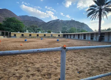 Alrayan stables