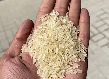 ALZAKARIYA RICE & TEA GENERAL TRADING LLC