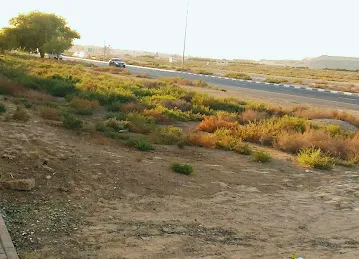 Amaan Street 2-1