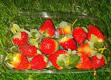 AMAL AL MADEENA SUPERMARKET