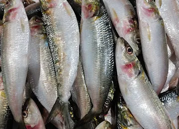 Amani fish trading