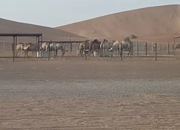 Amateur Desert Driving Site