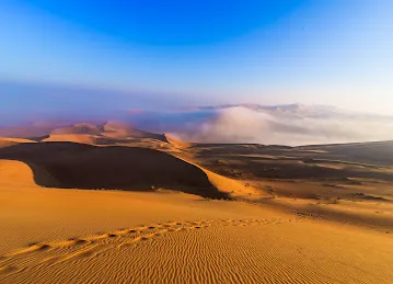Amateur Desert Driving Site