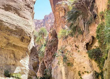 Amazing Destinations Travel & Tours