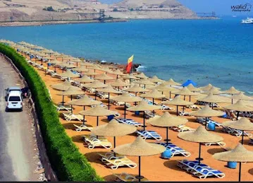 Amer Group Exclusively by Kayan Middle East