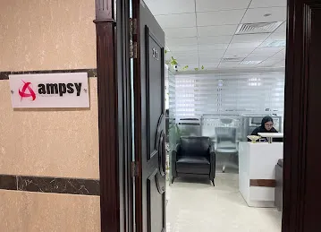 AMPSY CONSULTANCY LLC