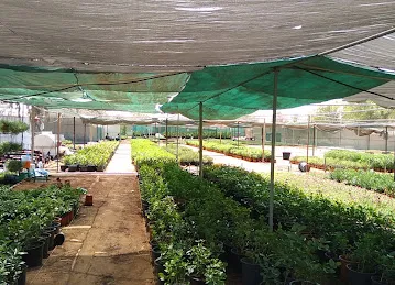 Amsterdam Garden nursery & outdoor landscape &maintenance &automatic irrigation