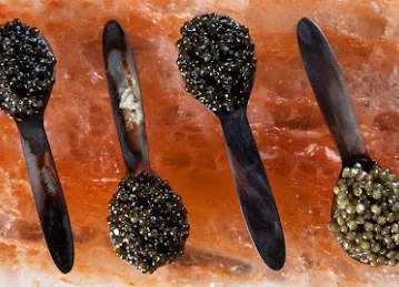 AmStur Caviar