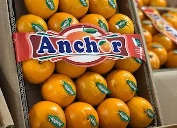 ANCHOR GLOBAL FOODSTUFF TRADING LLC