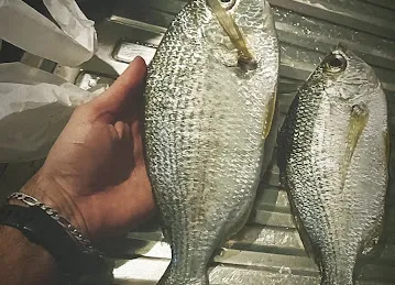 Anglers Hub Trading L.L.C.