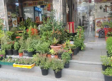 Annachi Flower shop (அண்ணாச்சி பூ கடை)