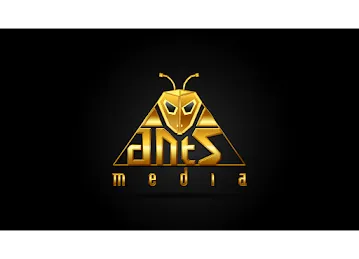ANTS MEDIA LLC