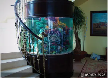 Aqua Art LLC - Aquarium Manufacturing Unit
