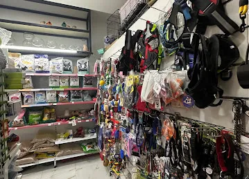Aqua Pets Dreams Aquatic & Live Animals