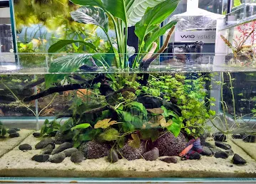 AquaGallery - أكواغاليري