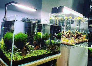 AquaGallery - أكواغاليري